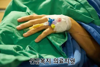 긴급복지 의료지원