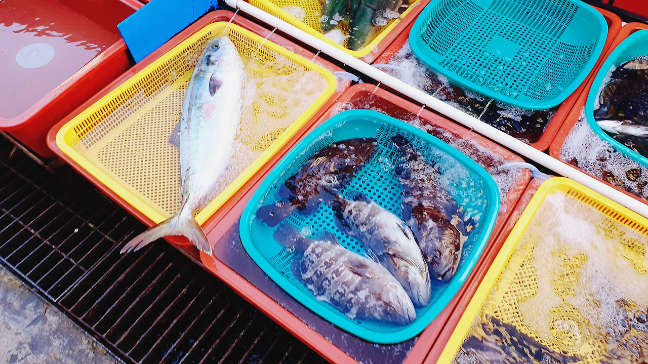 통영 가볼만한 곳 베스트 10