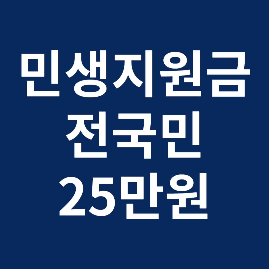 민생지원금 25만원 자격조건 시기 방법 기간 문제점