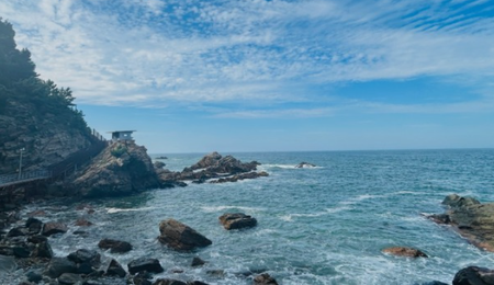 제주속으로 렌트카 가격비교사이트 체크사항