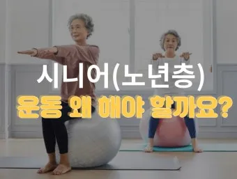 운동 루틴 걷기 근력 스트레칭 낙상 예방 실천법_17