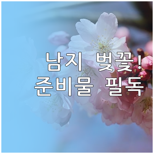 창녕 남지 체육공원 벚꽃길 개화 시기..