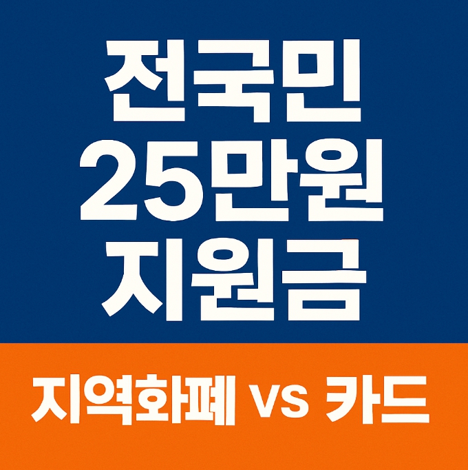 민생지원금 25만원 어떤 방식