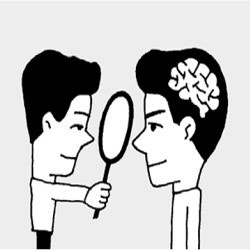 세포 교체 주기