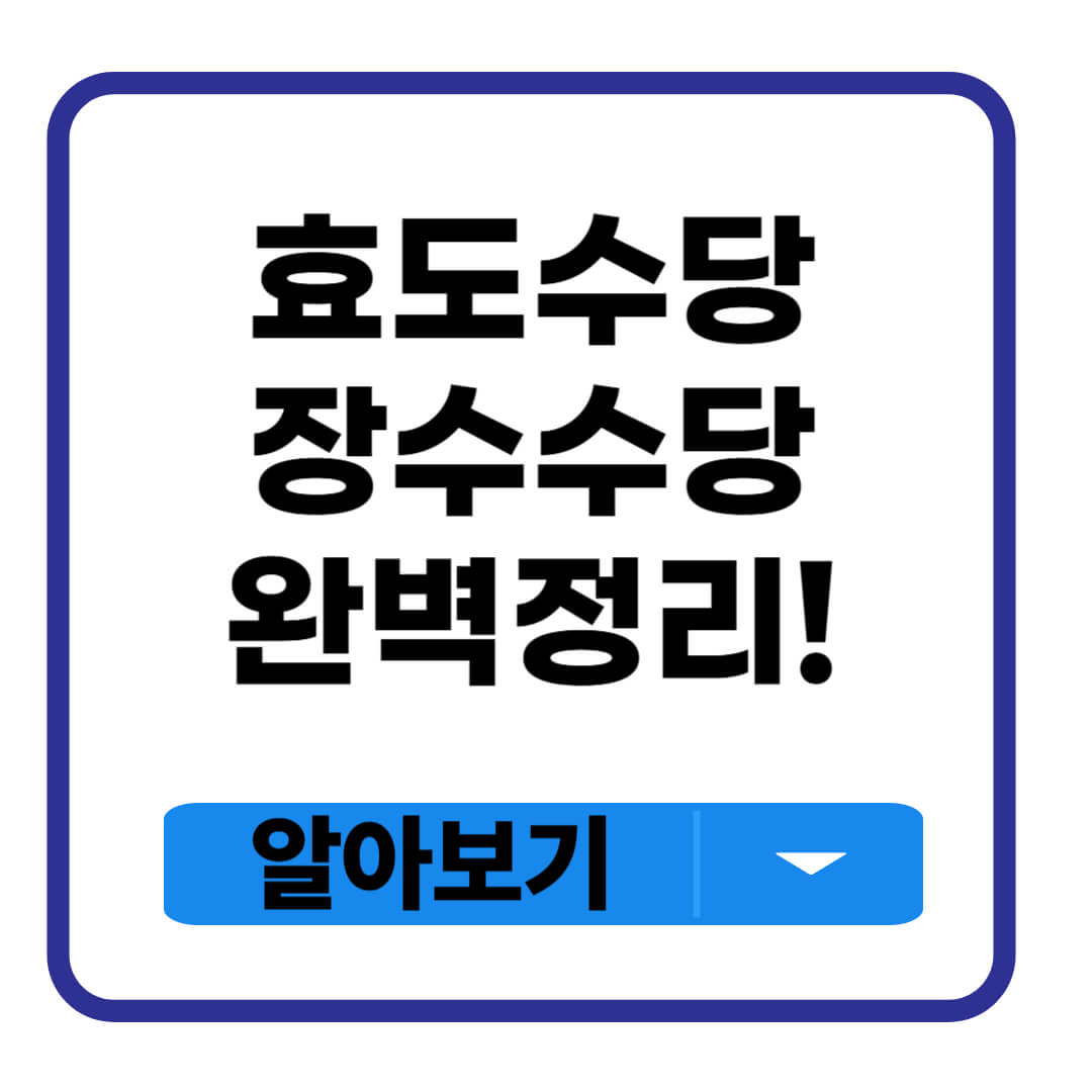 효도수당 장수수당