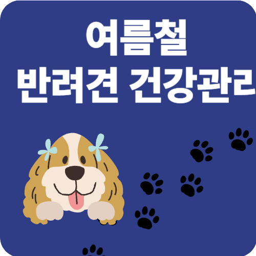 여름철 반려견 건강관리, 어떤 영양제를 선택해야 할까요?