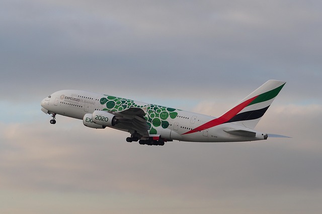 해외여행자보험 완벽 가이드