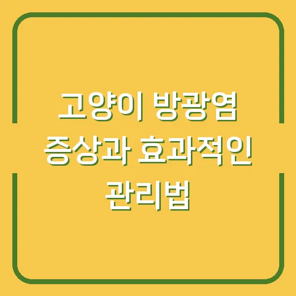 고양이 방광염 증상과 효과적인 관리법