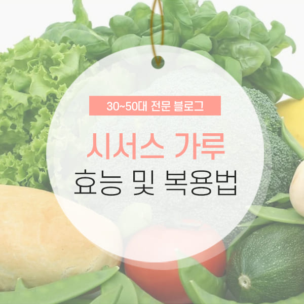 시서스 효능 및 부작용에 대해 자세히 소개