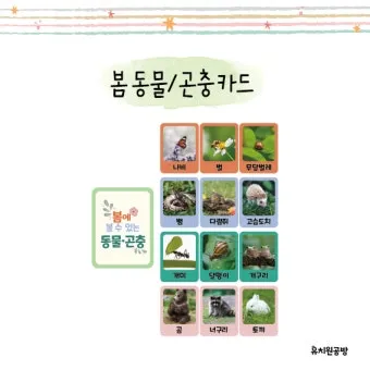 곤충과 동물의 차이점 생물 분류 기준과 이해 돕기_7