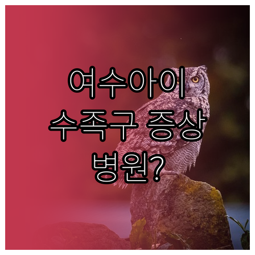 여수 아이 수족구 증상과 병원 정보 ..