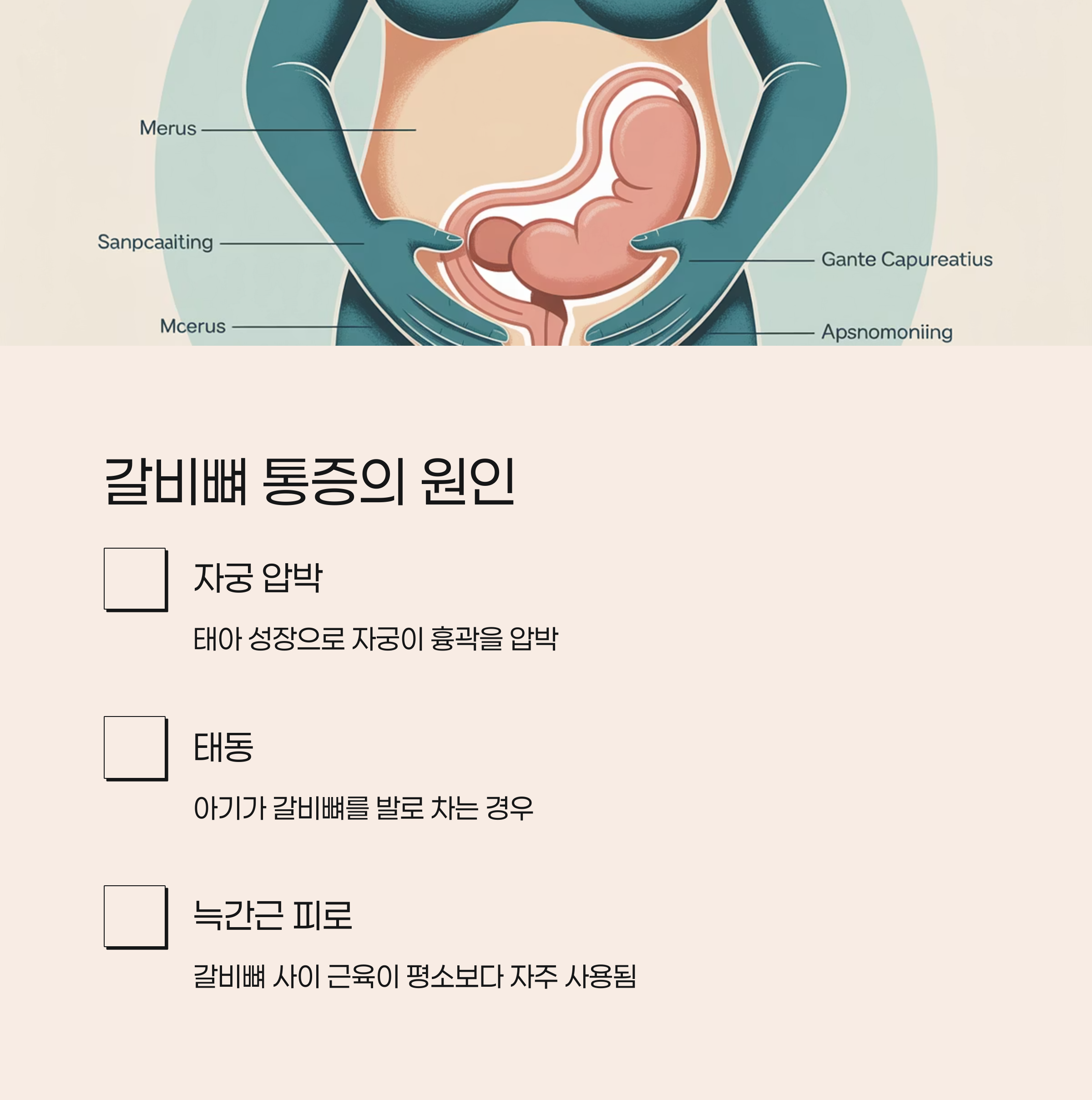 임산부의 갈비뼈 주변 장기 해부 구조 이미지와 함께 자궁 압박, 태동, 늑간근 피로 등 갈비뼈 통증의 원인을 설명하는 인포그래픽