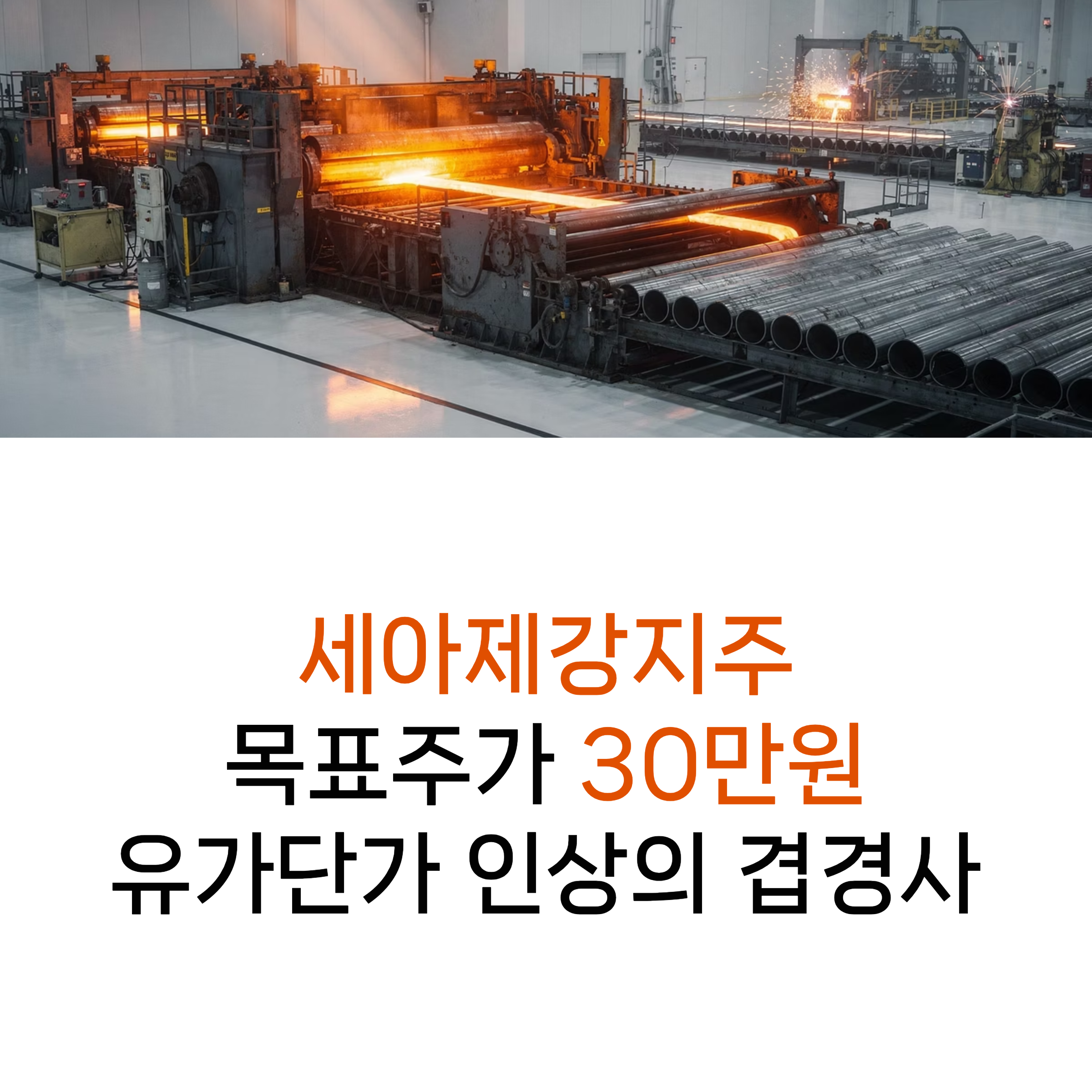 https://www.seahsteel.co.kr/