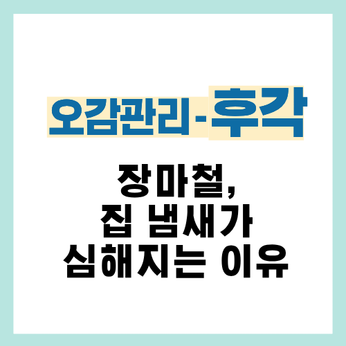 21편. 장마철 습기로 생기는 집 냄새 문제 정리