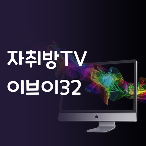 자취방 TV로 딱 이브이 32인치 H..