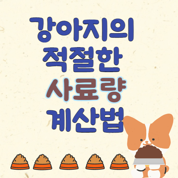 강아지-사료량 -계산법-썸네일