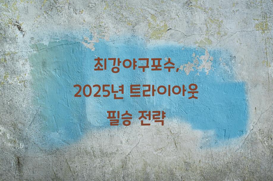 최강야구포수