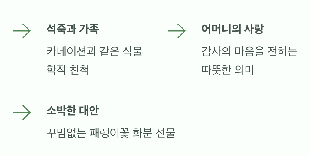 카네이션의 작은 사촌