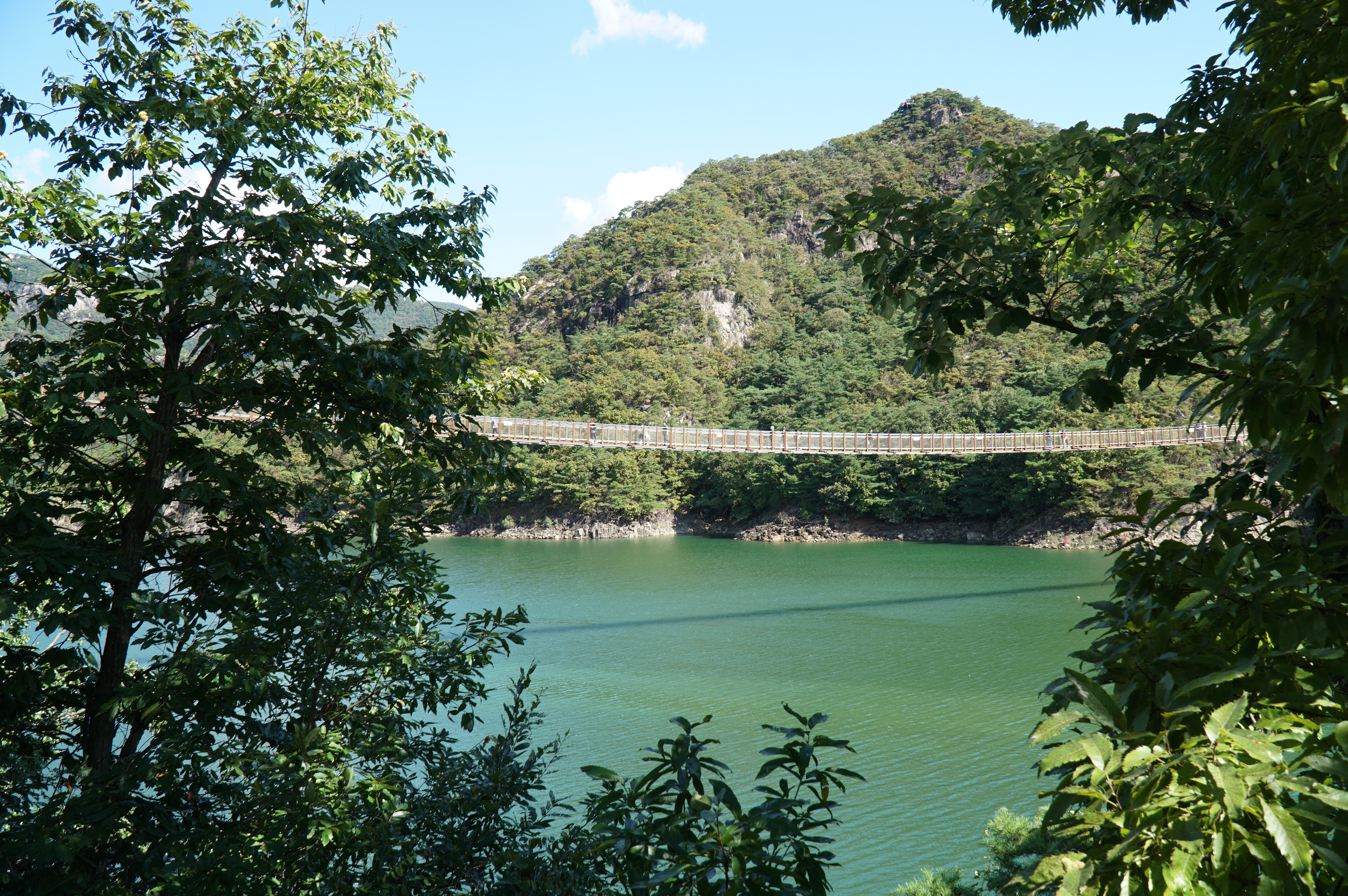 제천 옥순봉출렁다리 근처에서 본 모습