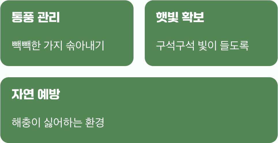 바람과 햇살&amp;#44; 최고의 예방 백신