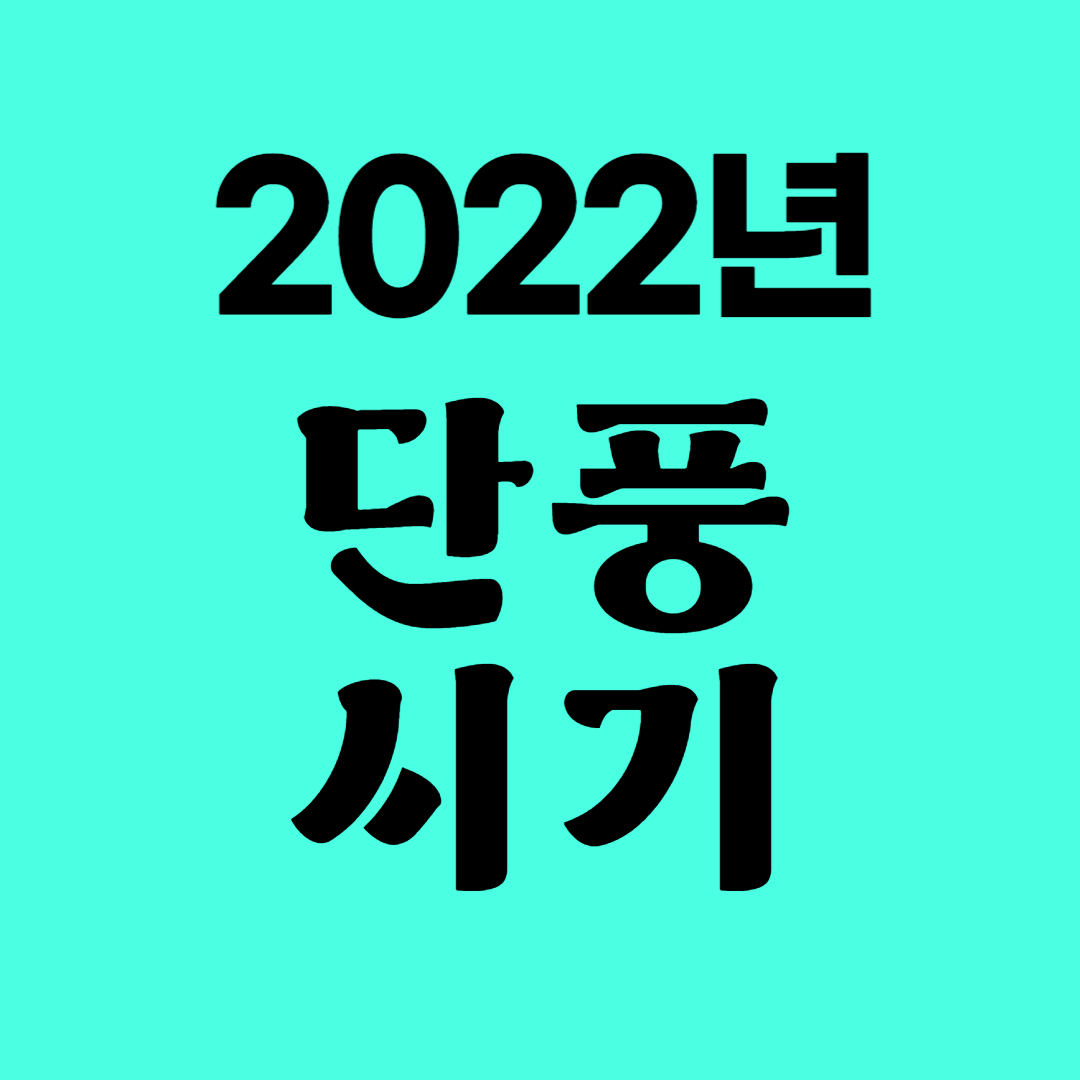 2022 단풍시기