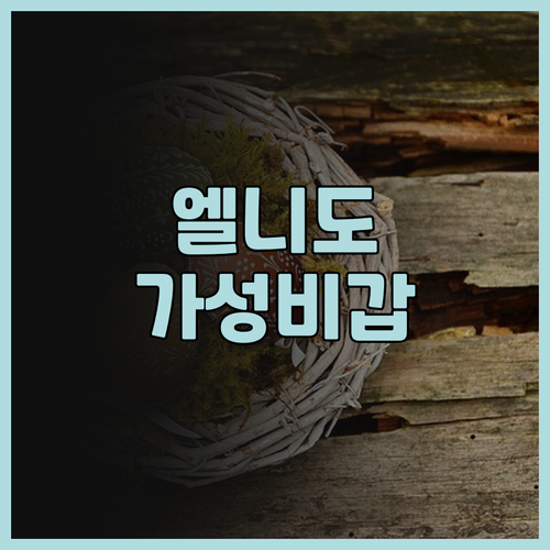 엘니도 더 퓨니 라이온 호텔 숙박 후