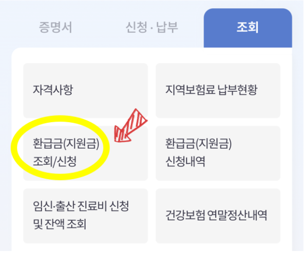 더건강보험 앱 화면
