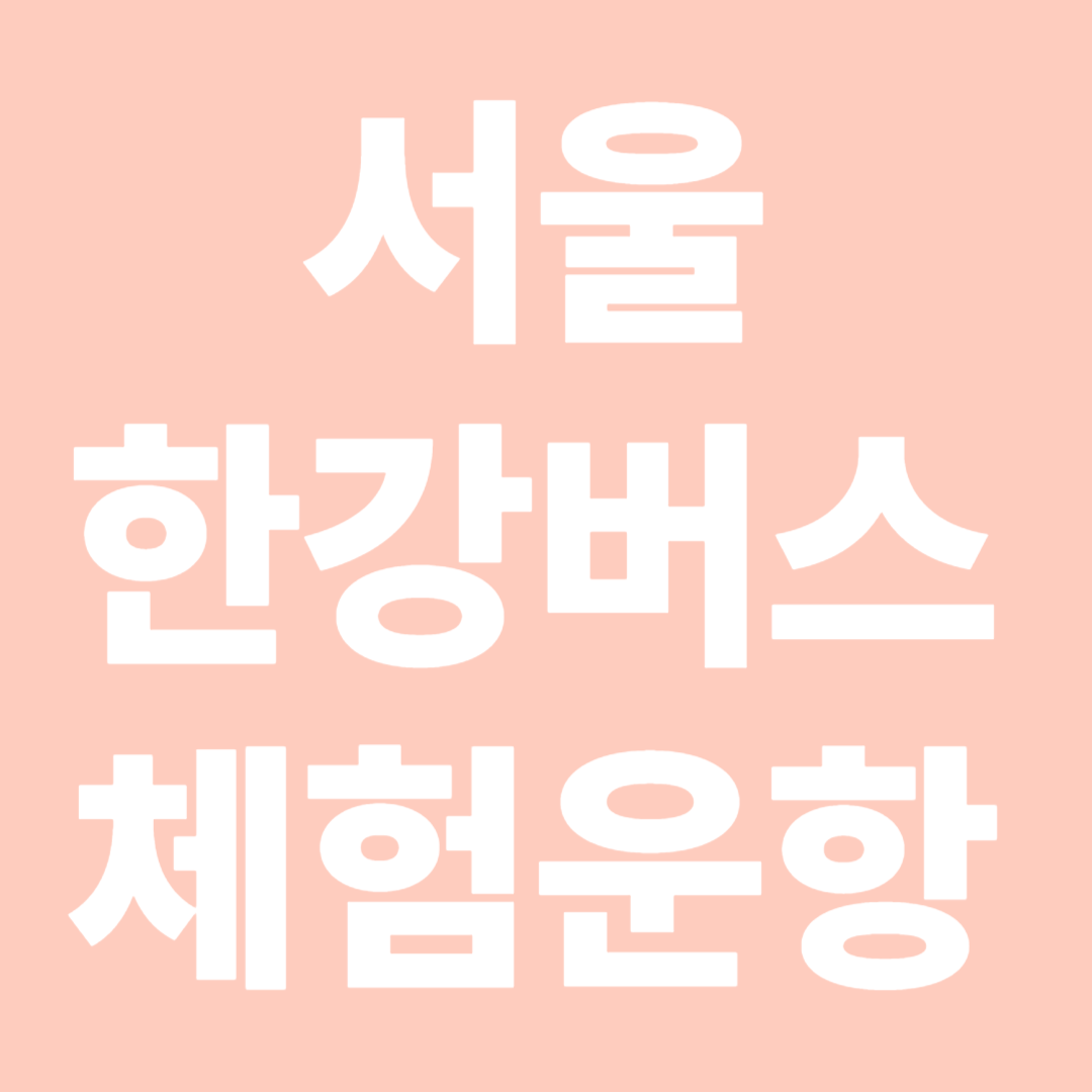 서울 한강버스 체험운항
