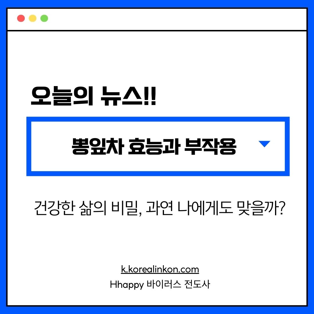 뽕잎차 효능과 부작용 건강한 삶의 비밀, 과연 나에게도 맞을까?