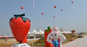 3월 국내 여행지 추천