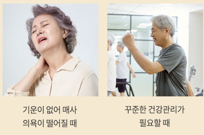 침향환효능