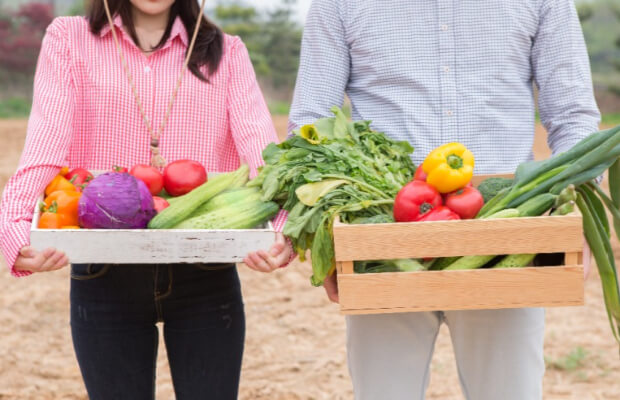 근로장려금-조건-신청방법