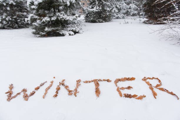 알림 OFF로 만드는 12월의 조용한 리셋 시간