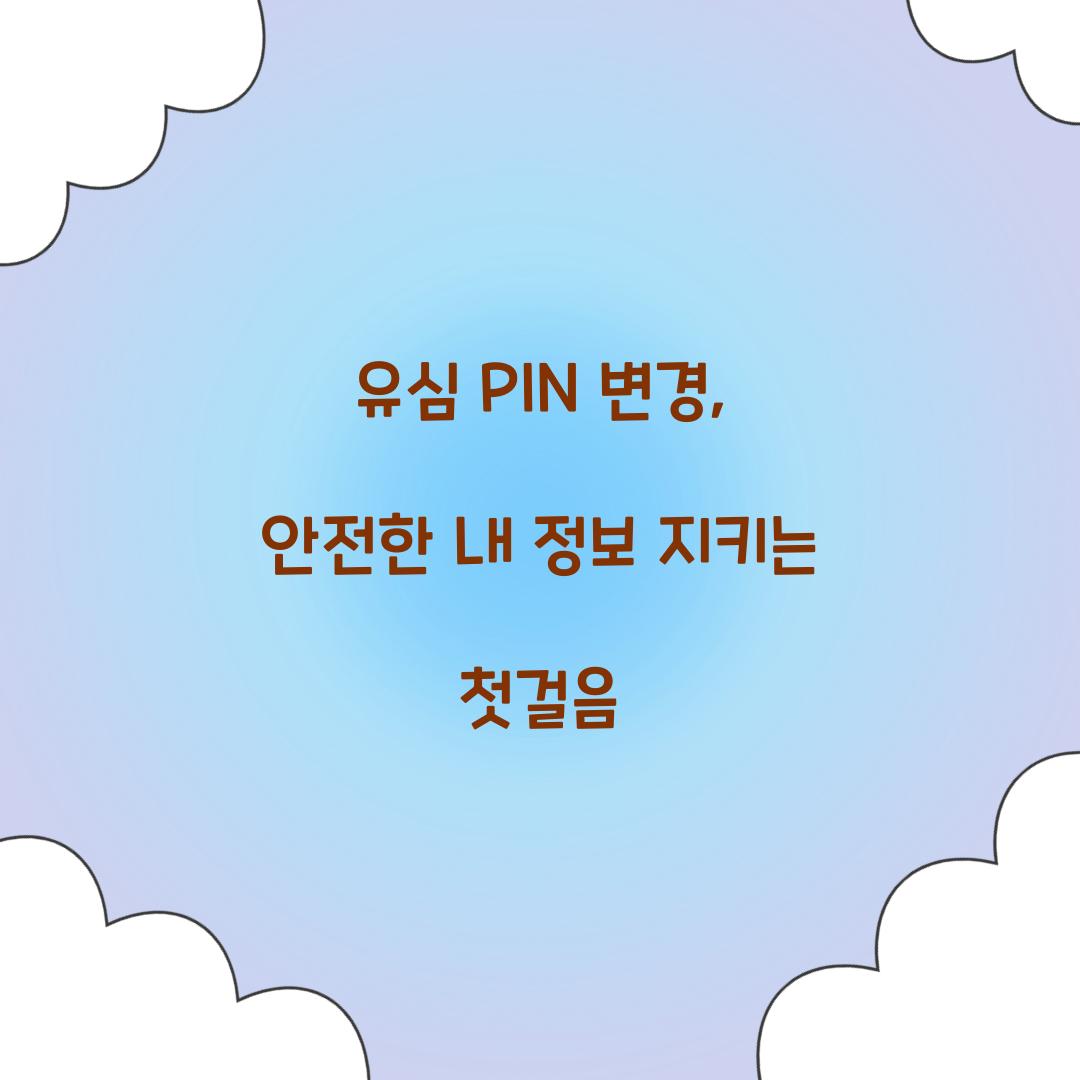 유심 PIN 변경