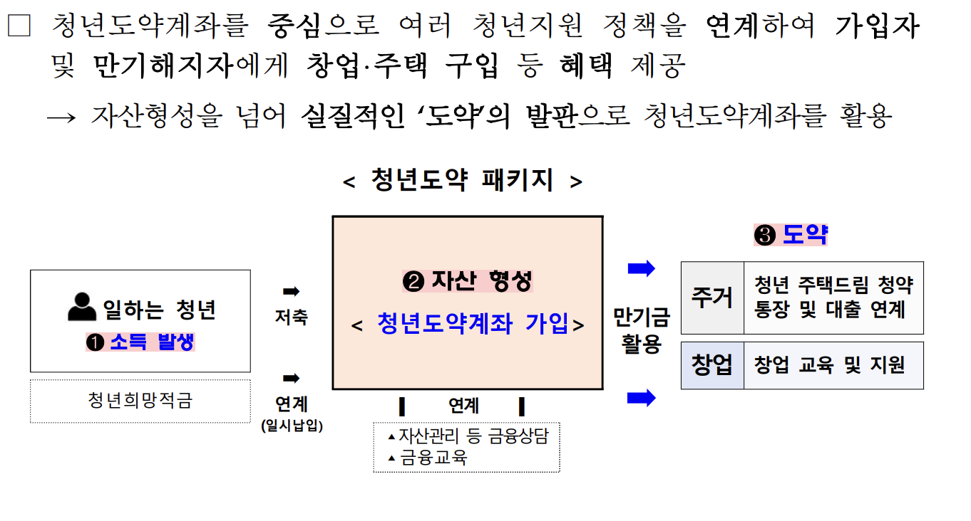 청년의 힘으로 도약하는 대한민국
