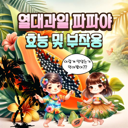 파파야 효능