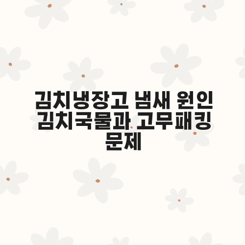 김치냉장고 냄새 원인 김치국물과 고무패킹 문제