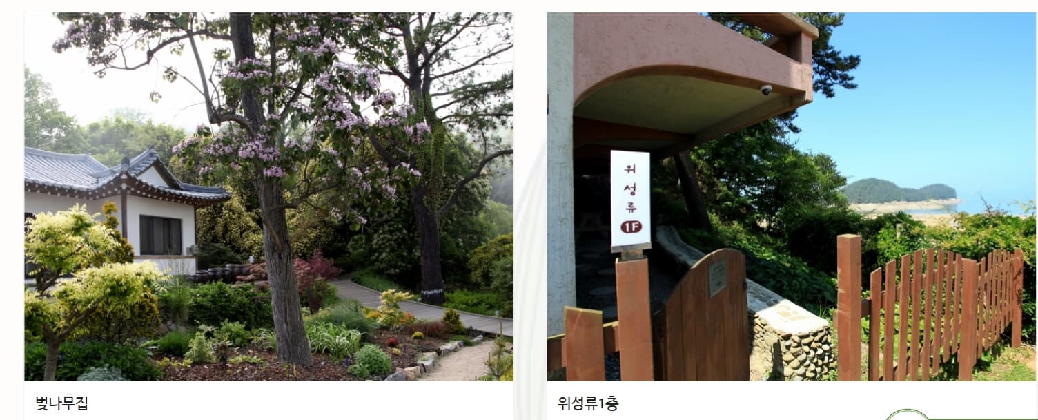 천리포수목원 목련축제｜비공개 정원 개방, 숙박, 온라인예약 팁까지!