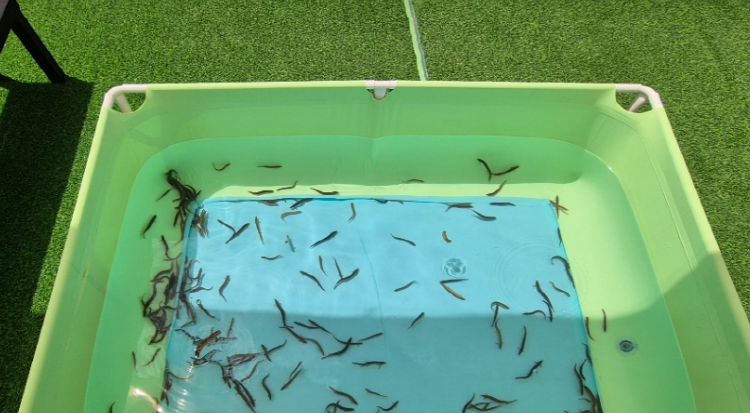 청도 봉식이놀이터