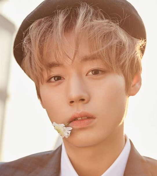박지훈 프로필