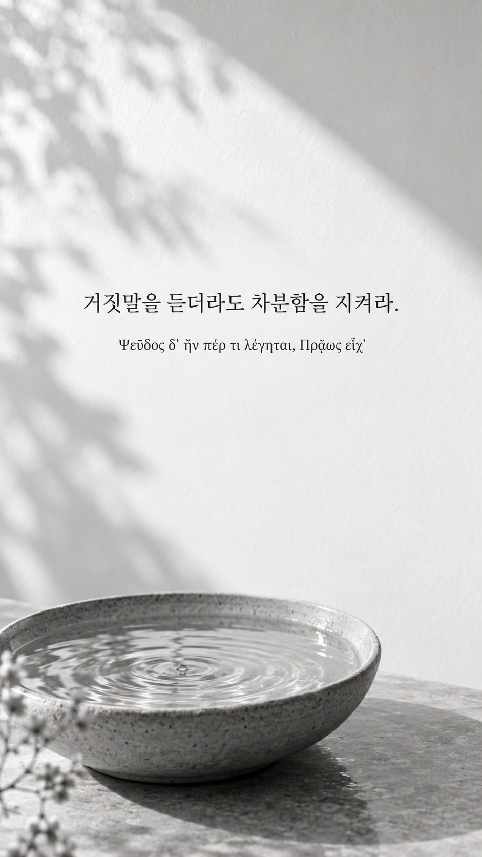 피타고라스 전통 황금시 13 거짓말을 듣더라도 차분함을 지켜라. 잔물결이 멎어 가는 밝은 물그릇 배경의 한글&middot;그리스어 세로 이미지