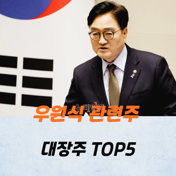 우원식 관련주 대장주 테마주 TOP5 종목