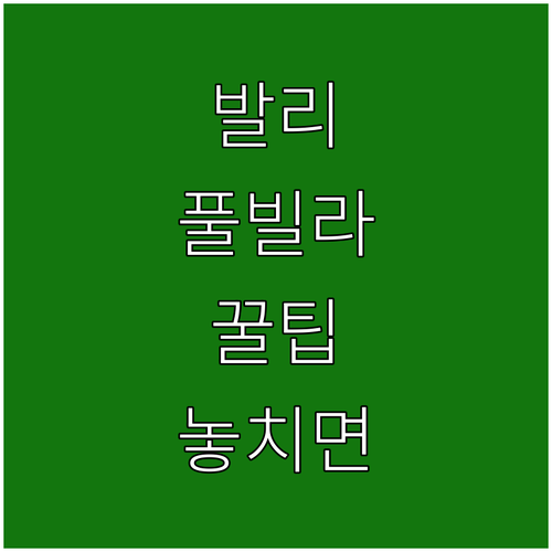 발리 가족 여행 커플 여행 숙소 추천..