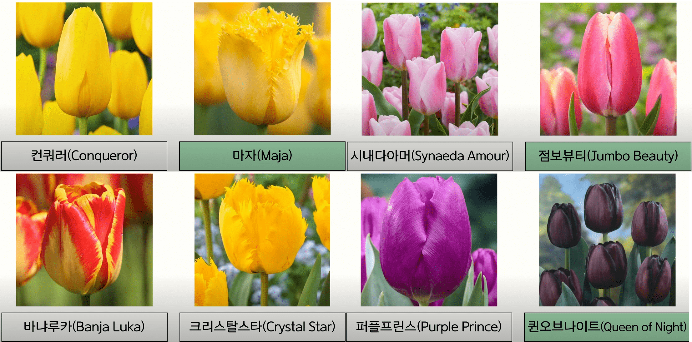 봄꽃여행지추천 4월 충청지역여행지추천