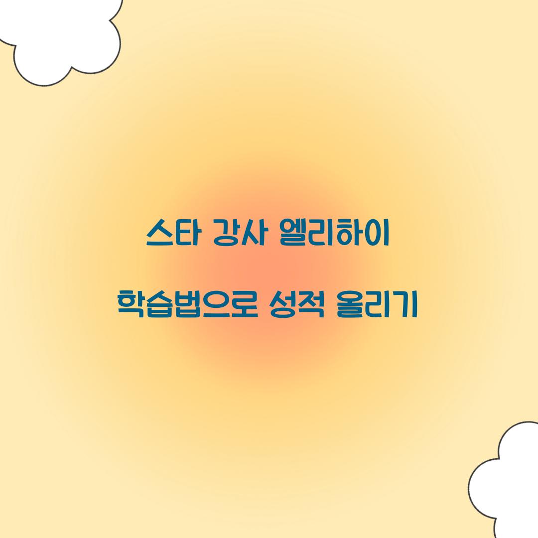 스타 강사 엘리하이 학습법