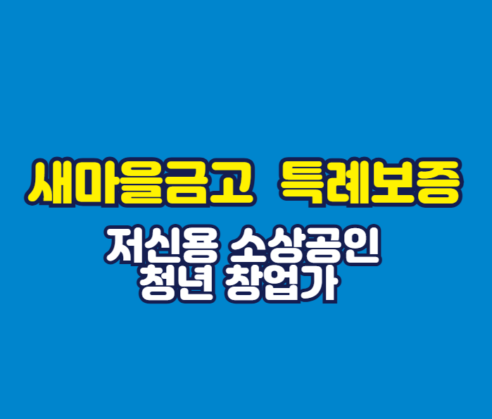 새마을금고 저신용자 대출