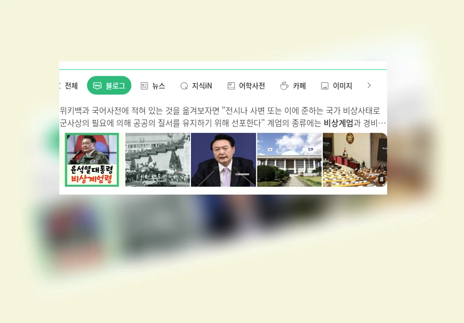 비상계엄_1_subsection
