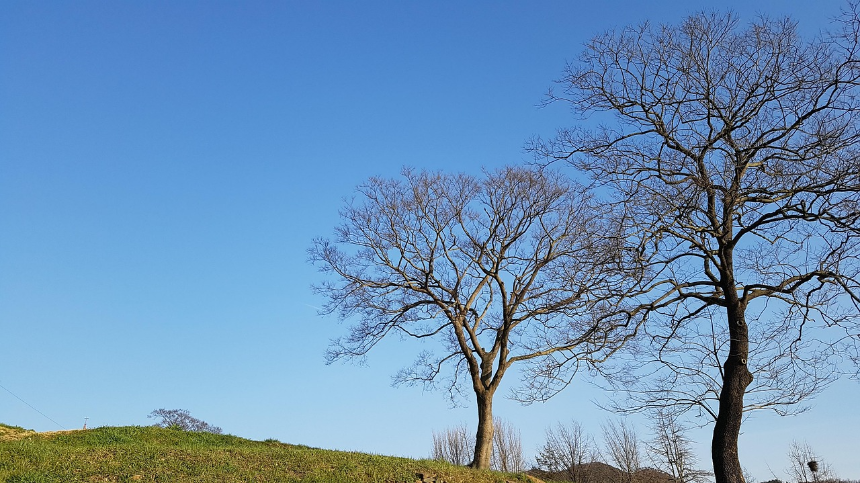 계절의 변화를 세분화한 24 절기 중 '청명' 이해하기
