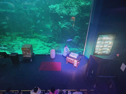 아쿠아플라넷 일산 할인 입장권 저렴한곳 + 다녀온 후기