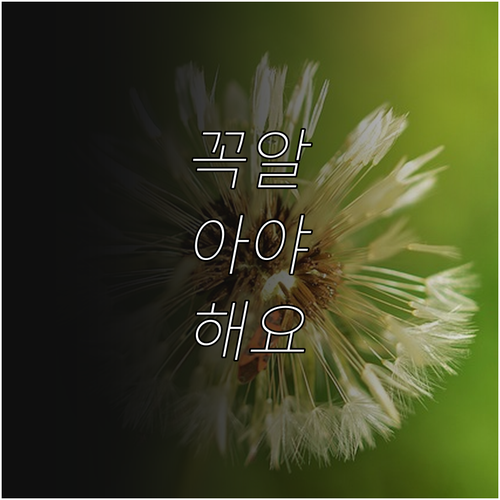 2025 현장실습 지원금 몰라서 못 ..